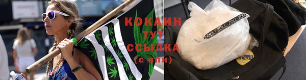 mdpv Кодинск