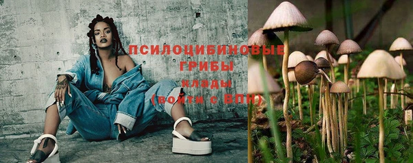 а пвп мука Козельск