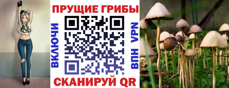 Галлюциногенные грибы MAGIC MUSHROOMS  Купить  Кинешма 